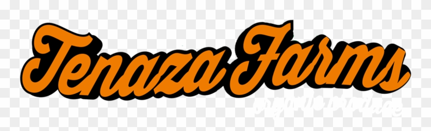 Sign Up For Our Newsletter To Receive Information About Clipart