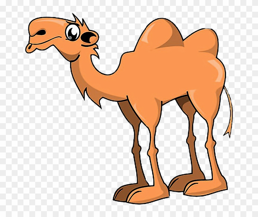 Animals Camel Hump Humpday Freetoedit - Camel Two Humps Cartoon Clipart
