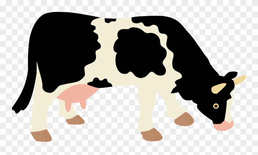 Holstein Friesian Cattle Beef Cattle Dairy Cattle - Aavin Milk Clipart