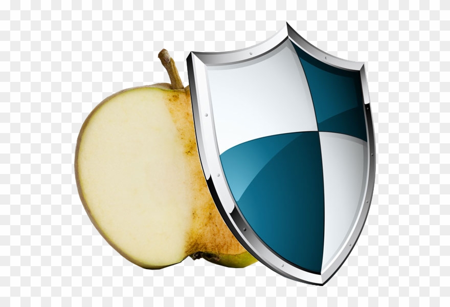 Antioxidants Act Like Bodyguards Who Dive In Front - Virtual Private Network Clipart