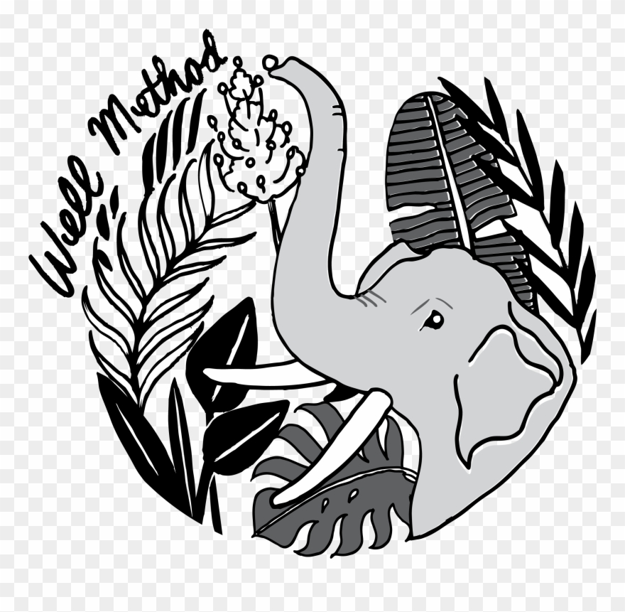 Getwelloutdoors - South Carolina Clipart