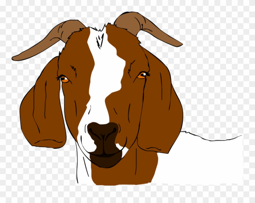 Boer Goat Clip Art - Boer Goats Clip Art - Png Download