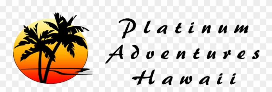 Platinum Adventures Hawaii - Palm Tree Sun Trucker Hat Mesh Cap Snapback Adjustable Clipart