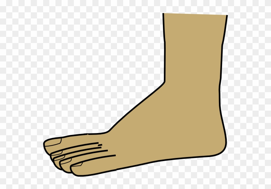 Foot Clipart Transparent - Png Download