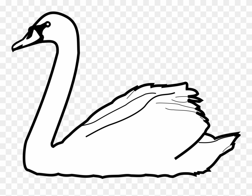 Swans Drawing At Getdrawings - Swan Clipart Black And White - Png Download
