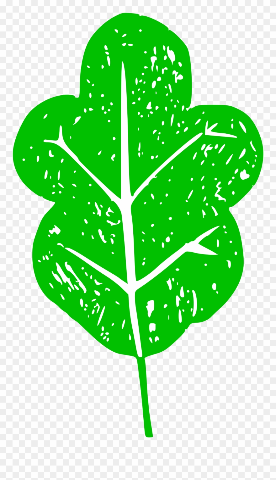 Medium Image - Clip Art - Png Download