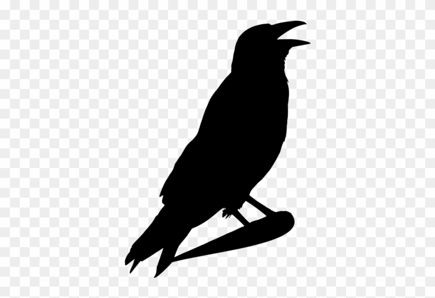 Crow Clipart Halloween - Crow Head Clipart Black And White - Png Download