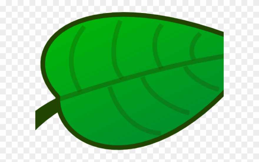 Green Leaves Clipart Large Leaf - Png Download