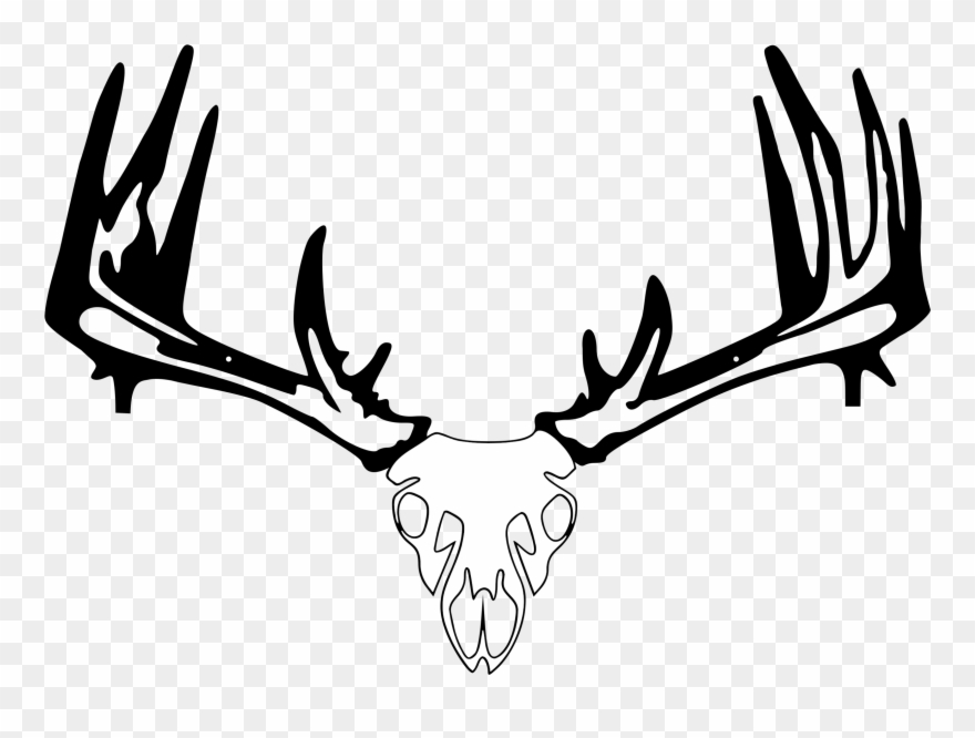 Vector Freeuse Download Whitetail Crossbow - Raxx Bow Holder Clipart