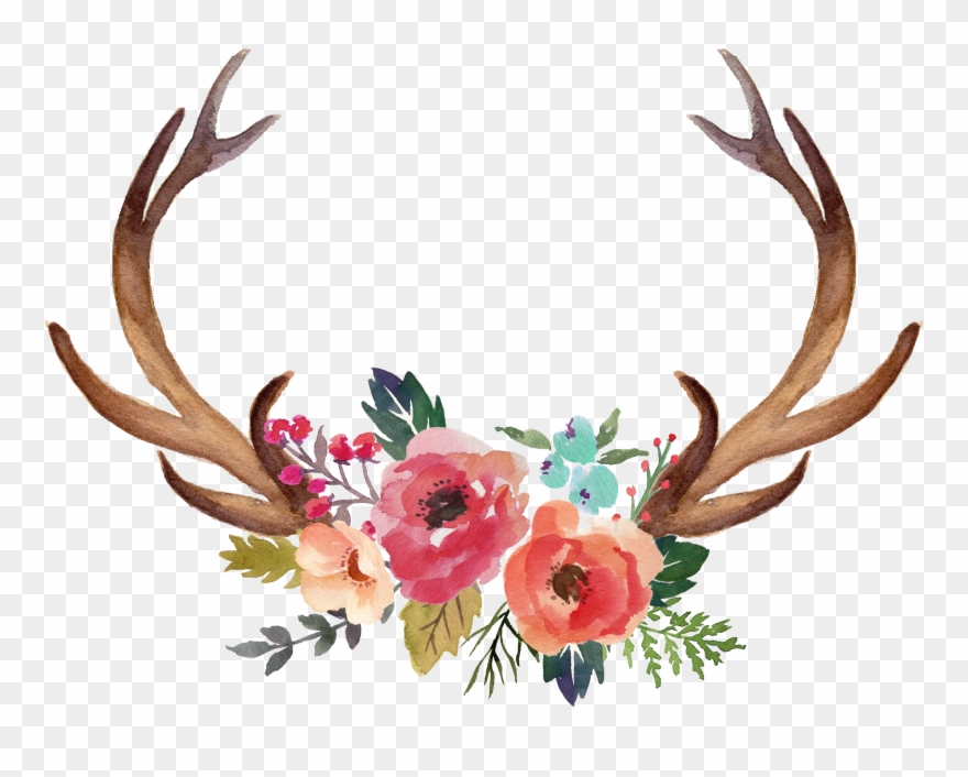 Antler Moose Flower Clip Art Horn - Png Download