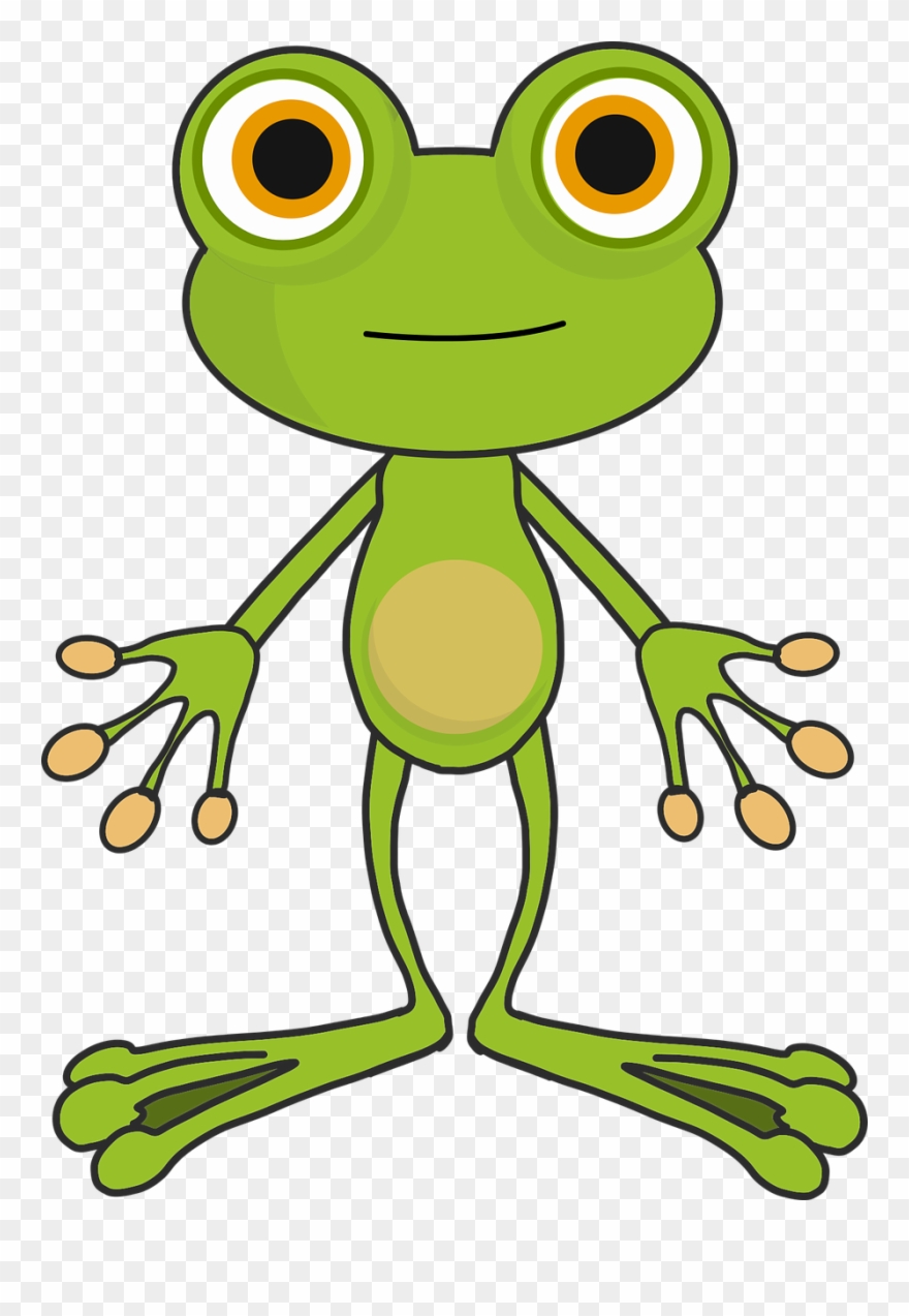 Sapo Animado Clipart