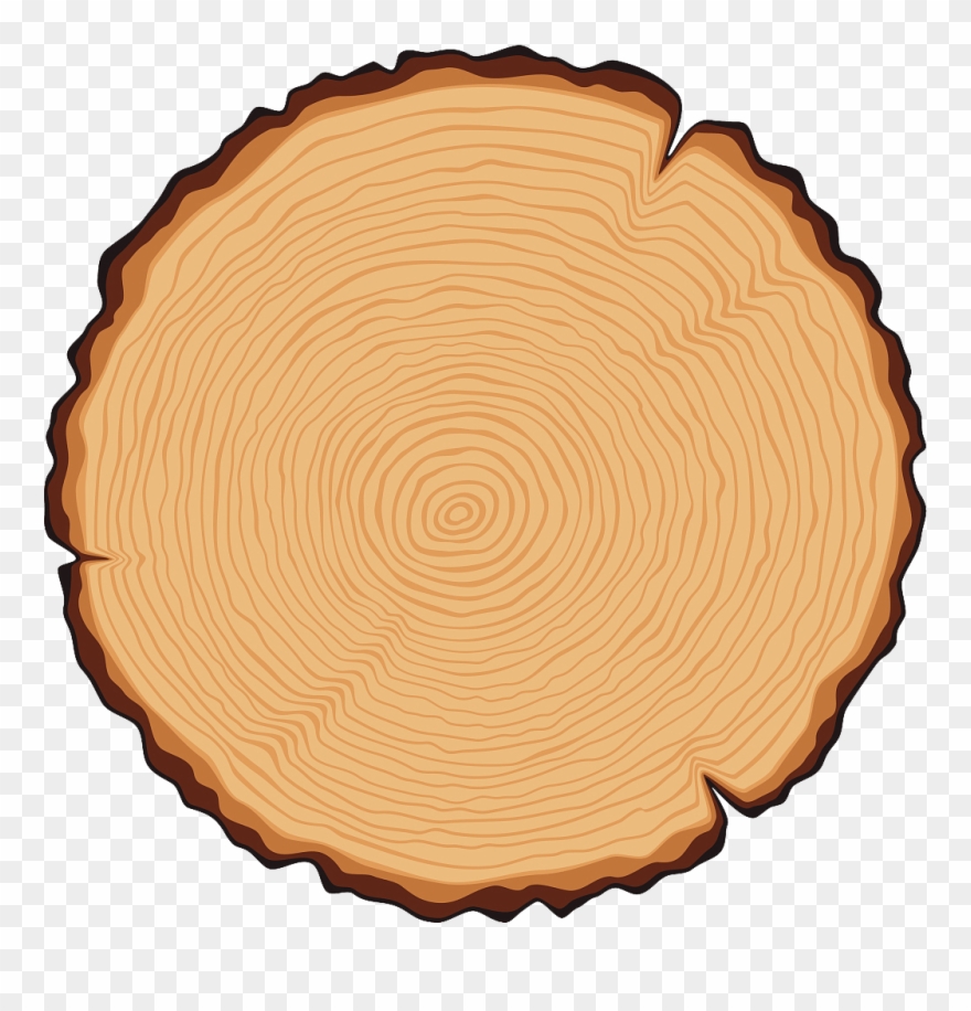 Carpentry, Art And Madness - Logo De Tronco Png Clipart