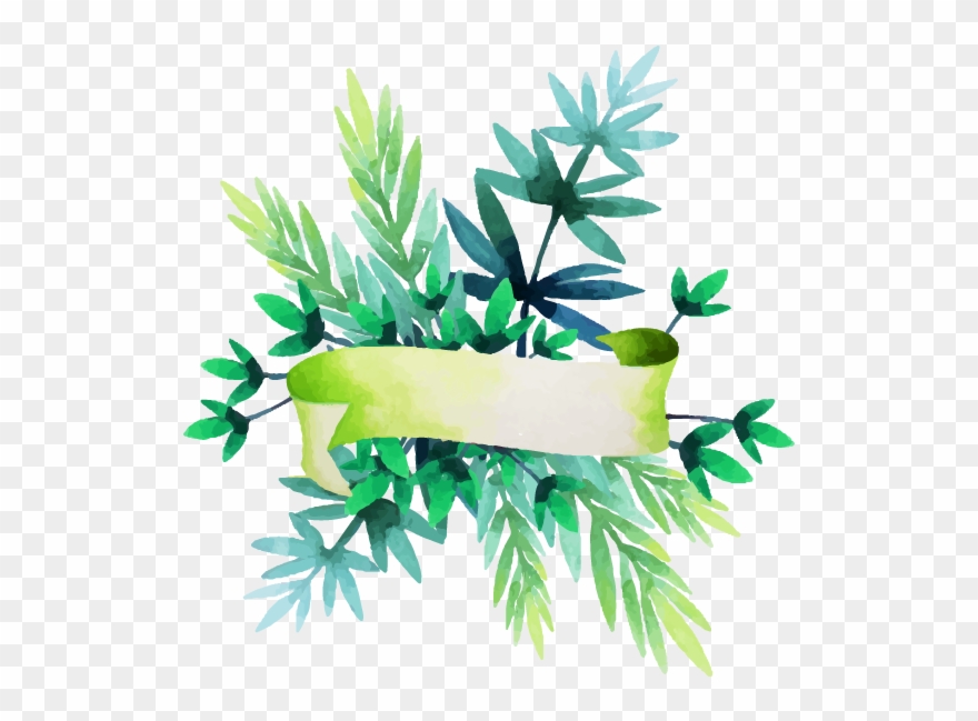 Ebola Virus Disease , Clinical Symptoms And Associated - Watercolor Painting Clipart