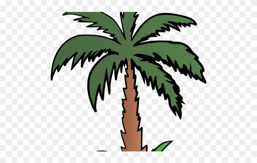 Palm Tree Clipart Terrestrial Plant - Clip Art - Png Download