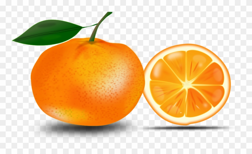 Slice Of An Orange - Free Clip Art Orange - Png Download