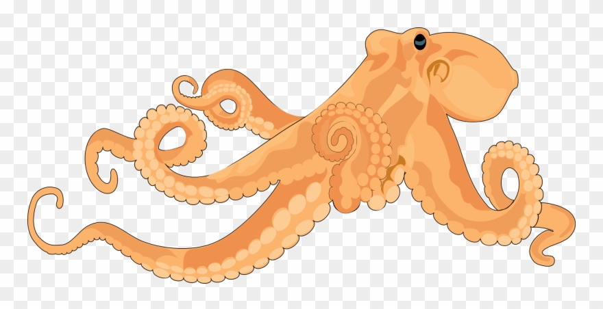 Realistic Octopus Clipart - Png Download