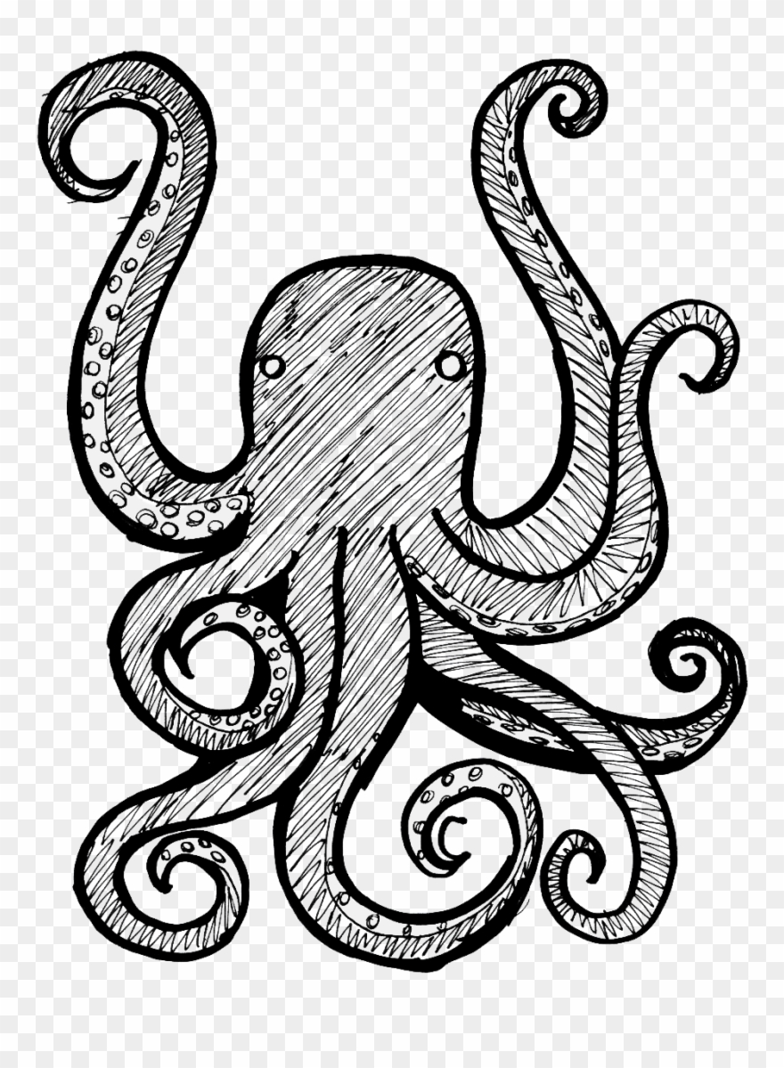 Drew Piston - Home - Octopus Drawing Transparent Background Clipart
