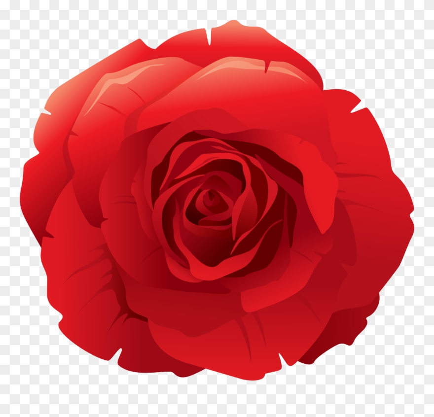 Red Roses Clipart - Png Download