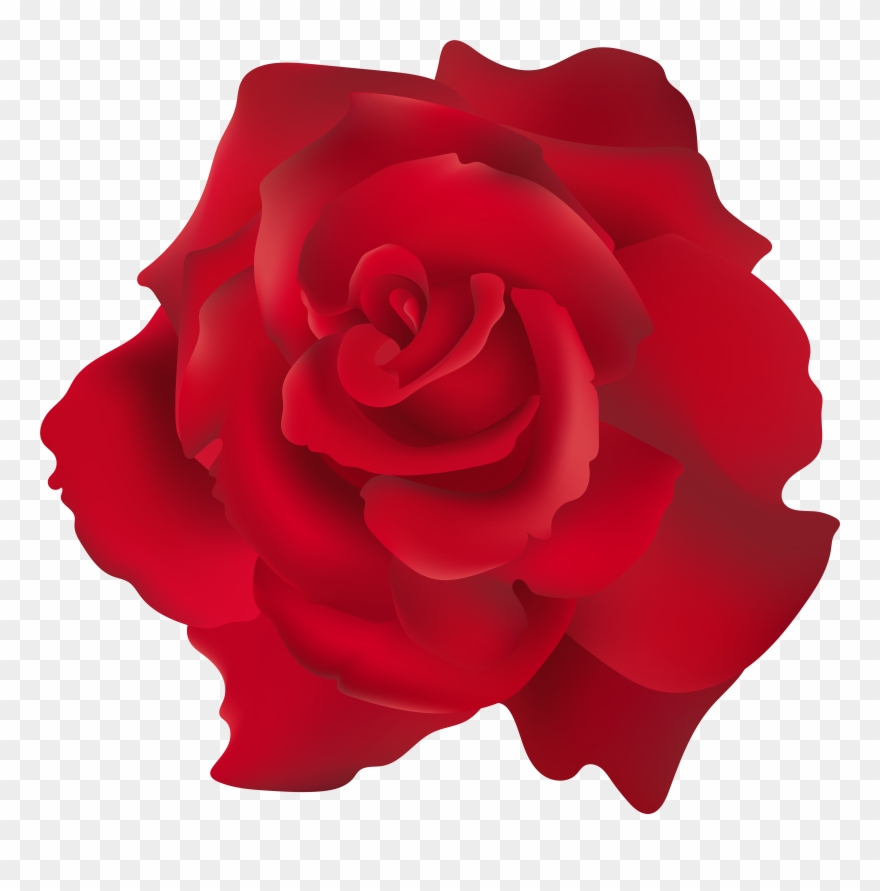 Red Roses Clipart - Png Download