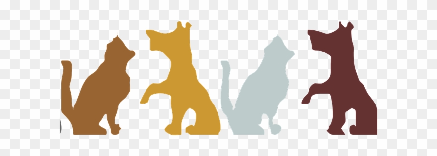 Dog Cat Clipart - Happy Vet Nurse Day - Png Download