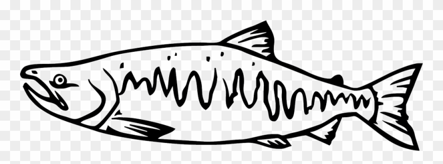 Salmon Clipart Tiny Fish - Pacific Salmon Black And White - Png Download