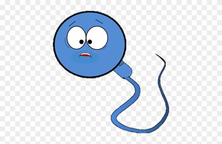 Picture Clipart