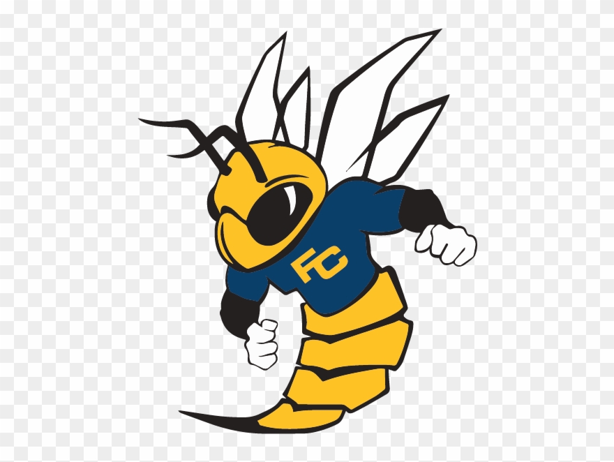 Vector Transparent Stock Hornet Clipart Buzzy - Fullerton College Hornets Logo - Png Download