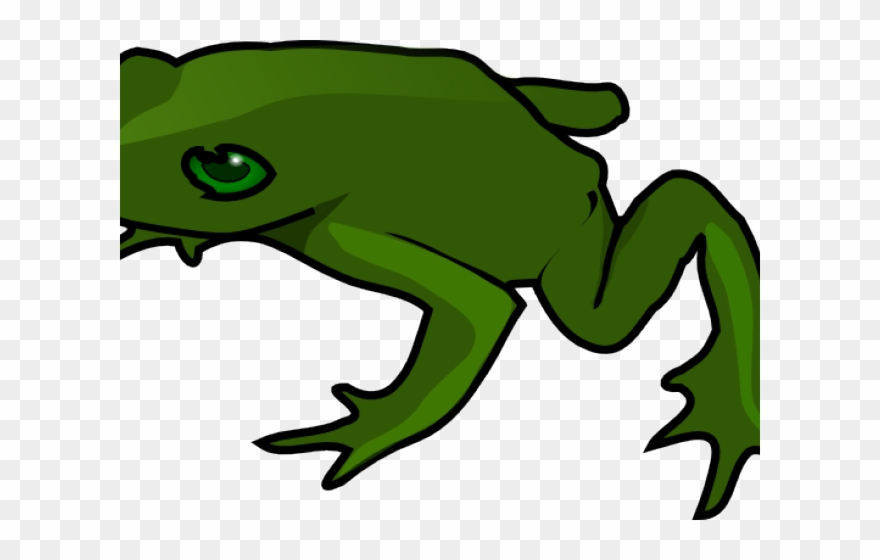 Green Frog Clipart Simple - Frog Clip Art - Png Download