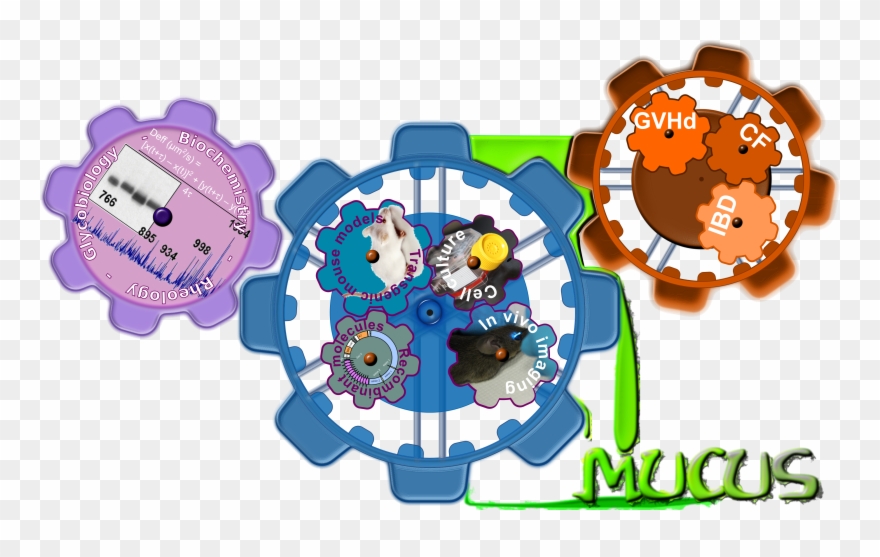 Fg Gear - Illustration Clipart