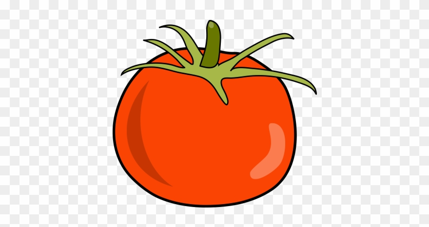 Clip Art Black And White Tomato Illustration Inspiration - Tomato Illustration Png Transparent Png