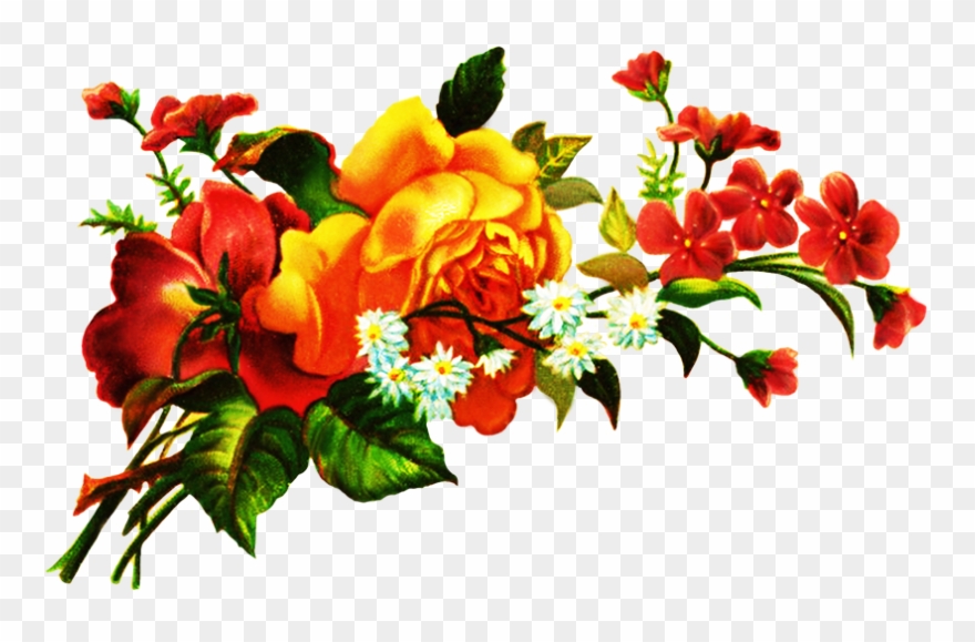 Floral Bouquet Png - Flower Clipart Border Design Transparent Png