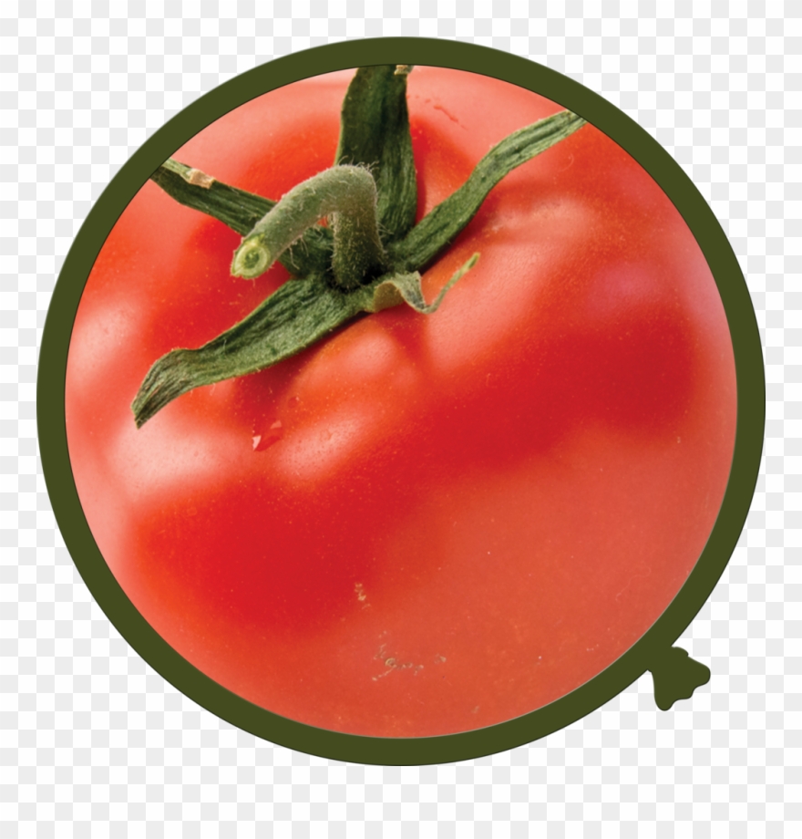 Walloon Tomato Fruit And Vegetable Photowall Decals Clipart (826731