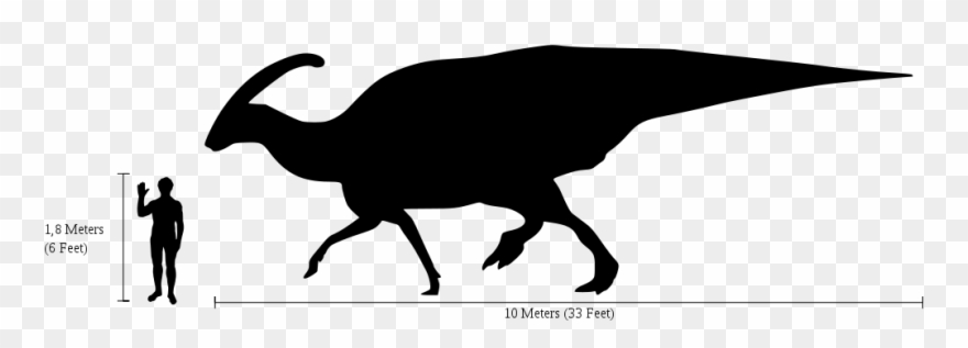 Parasaurolophus Human Clipart