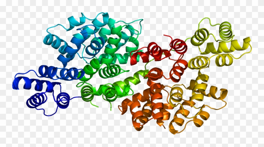 Annexin A Wikipedia - Annexin Clipart