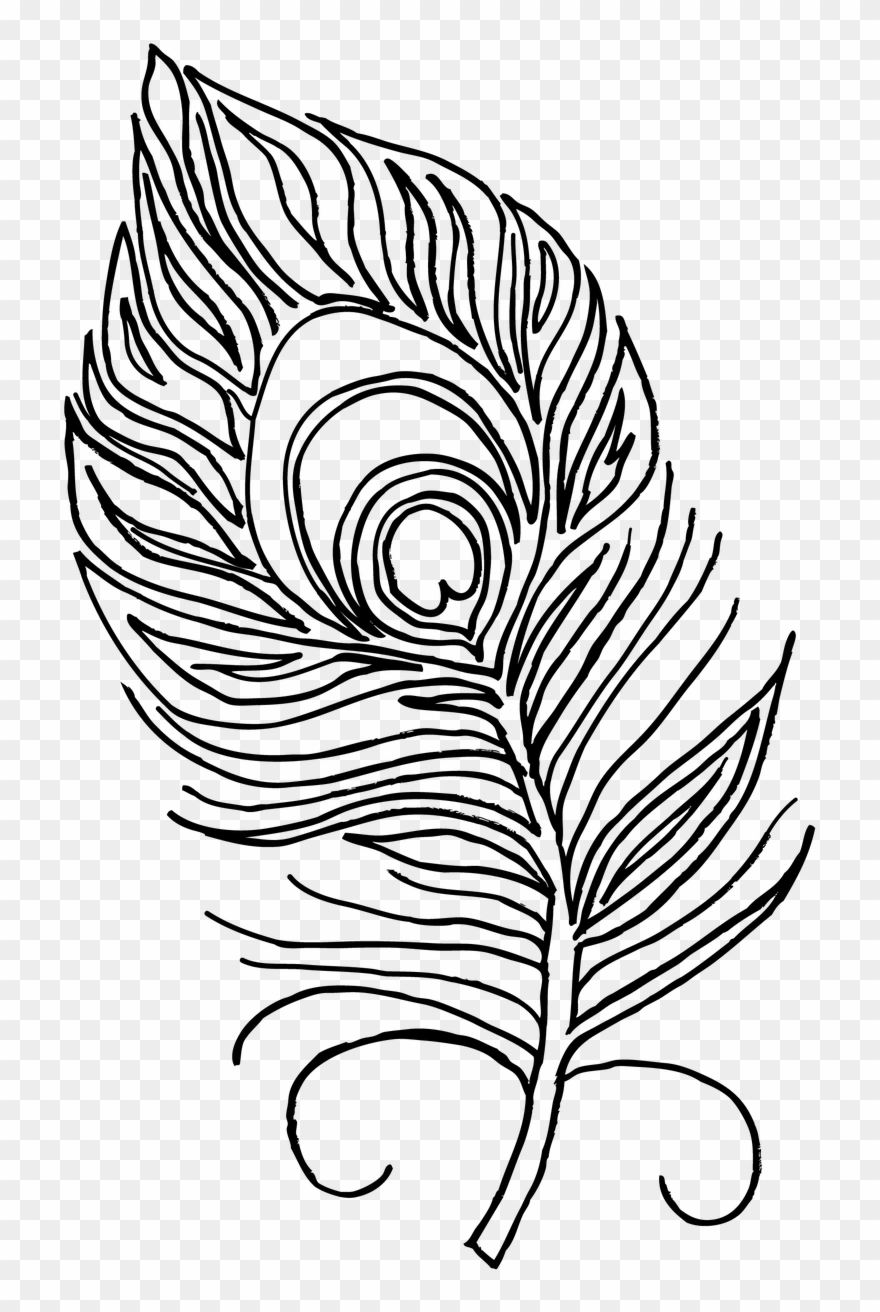 Unique Turkey Feathers Coloring Pages Drawing At Getdrawings - Peacock Feather For Colouring Clipart