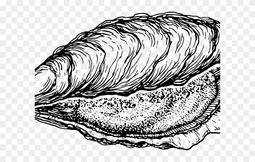 Clams Clipart Oyster - Free Oyster Clipart - Png Download