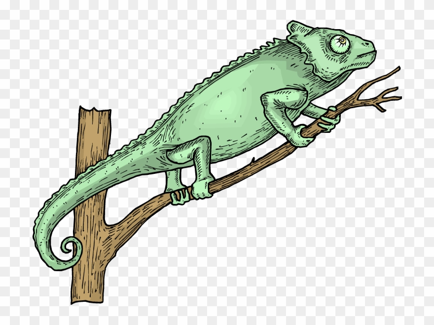Free Lizard Clipart - Reptile - Png Download