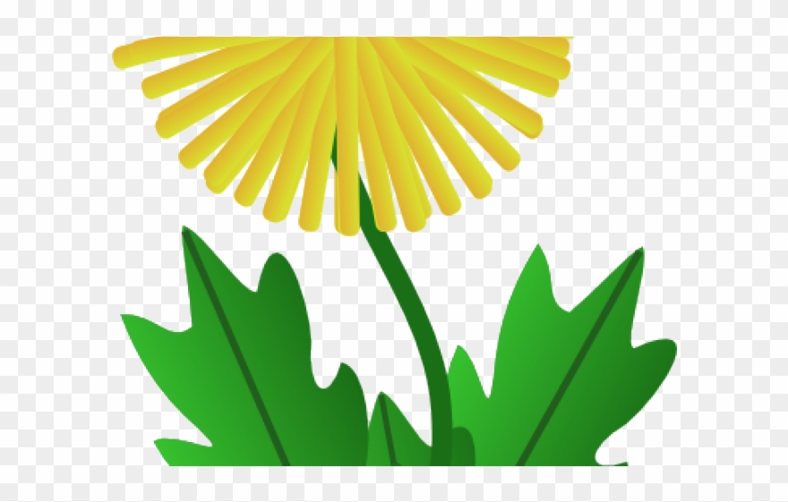 Dandelion Clip Art - Png Download