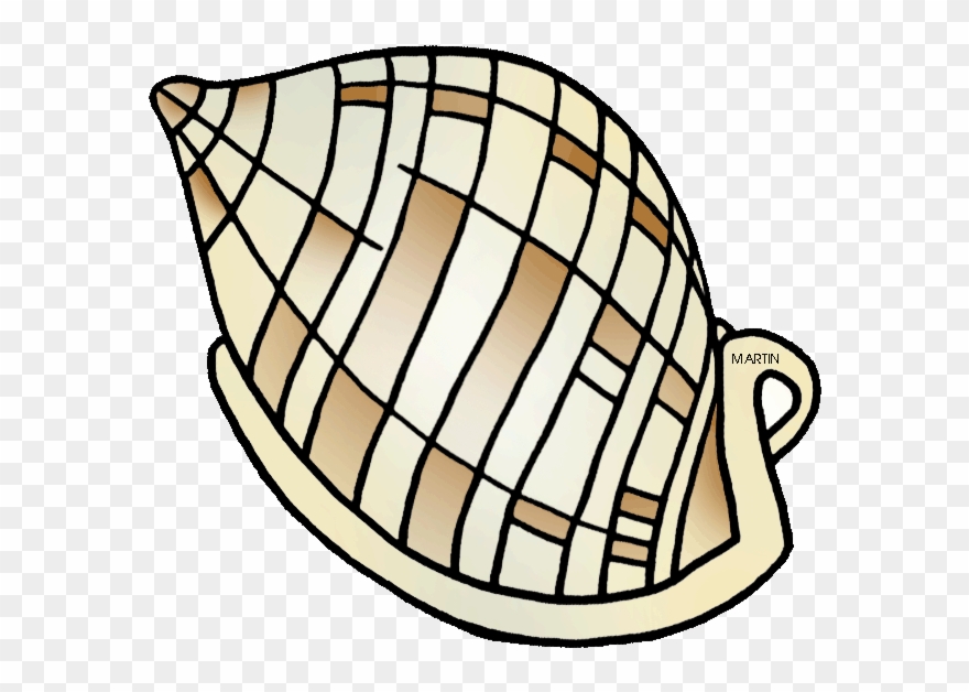 Shell Clipart Scotch Bonnet - North Carolina State University - Png Download