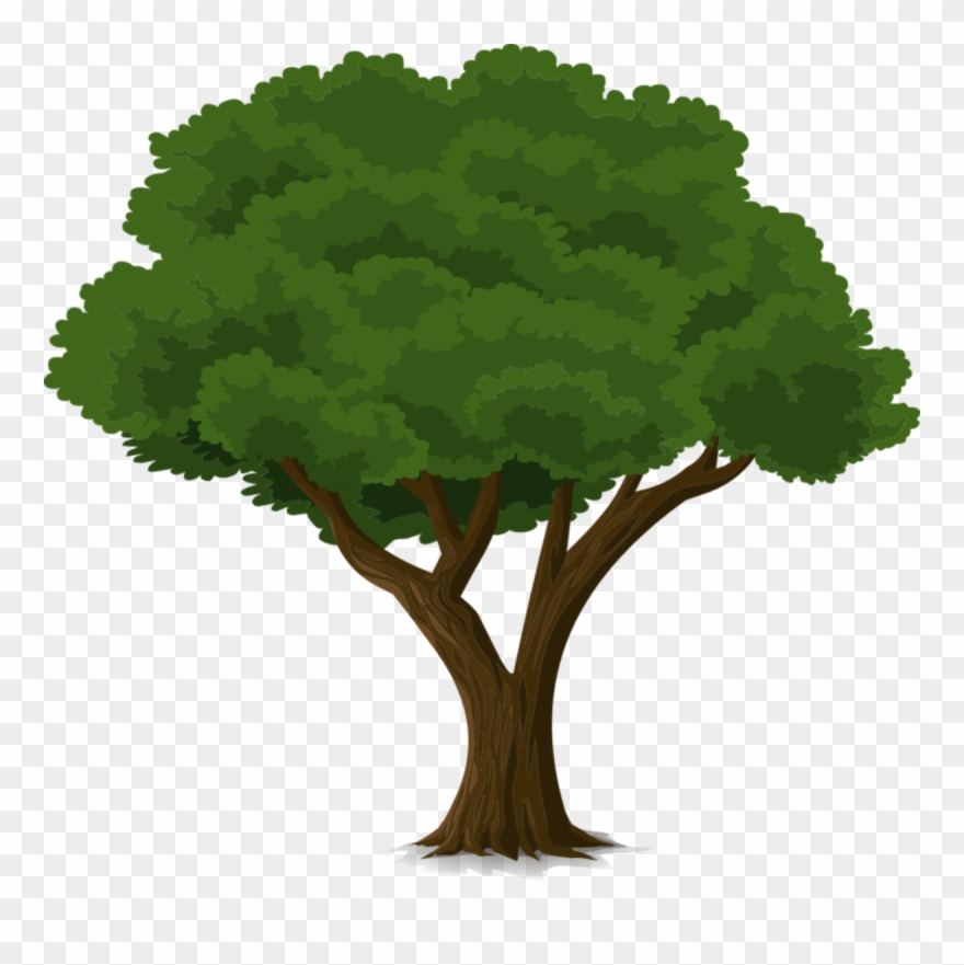 Uk Community Tree Planting Programme - Cây Đa Vector Clipart