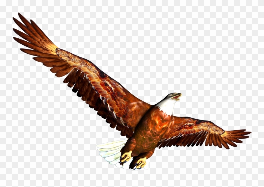 Free High Resolution Graphics And Clip Art - Window Canvas 100021 American Strength Logo Decal - Png Download