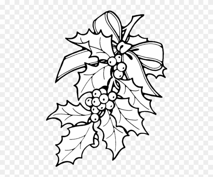Christmas Holly Coloring Pages 3 Clipart