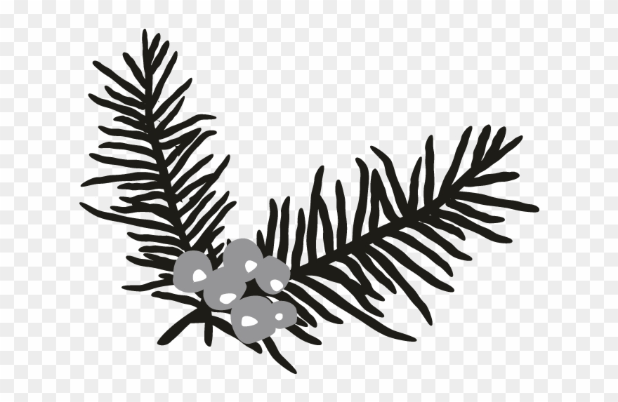 Holly Branch - Bird Clipart