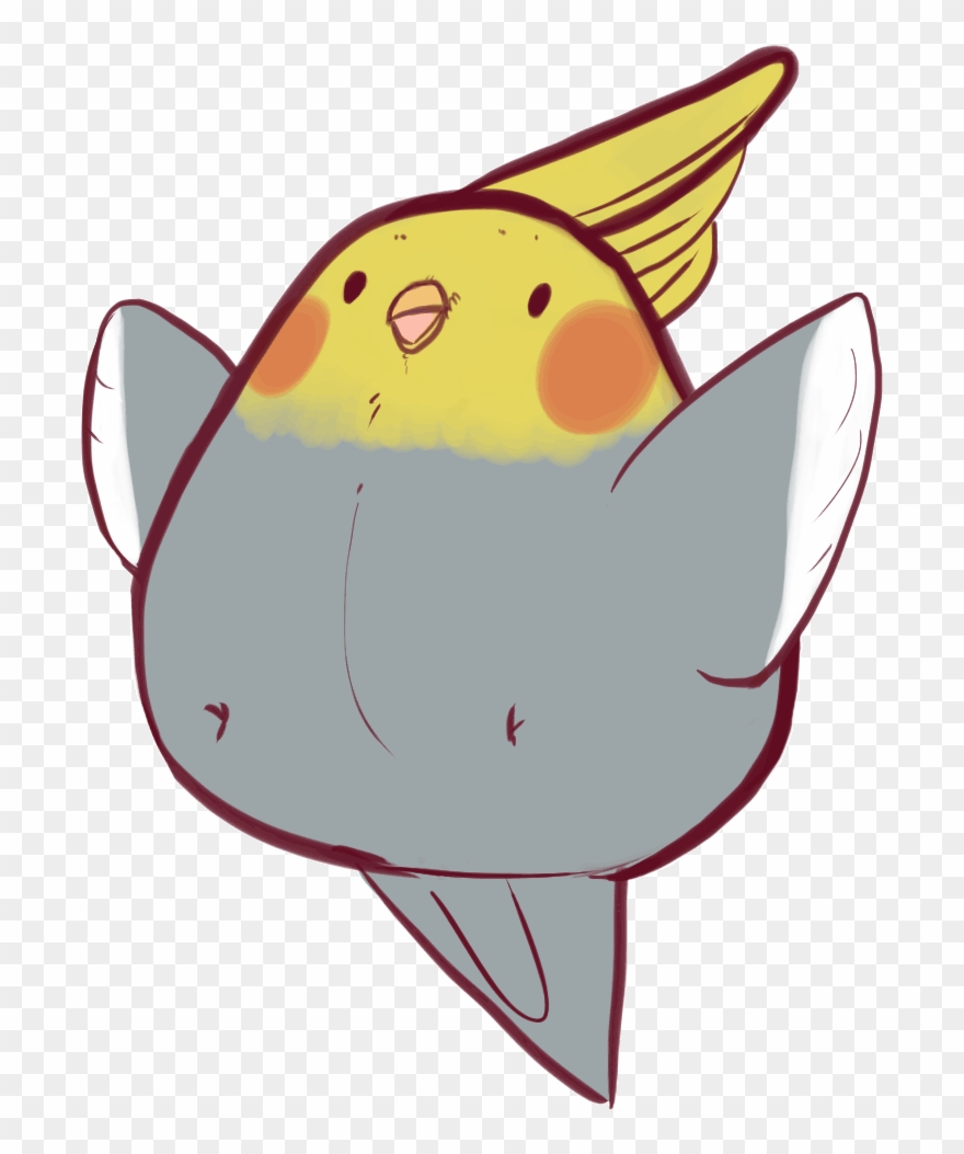 Isabellaasc - Cockatiel Animated Gif Clipart