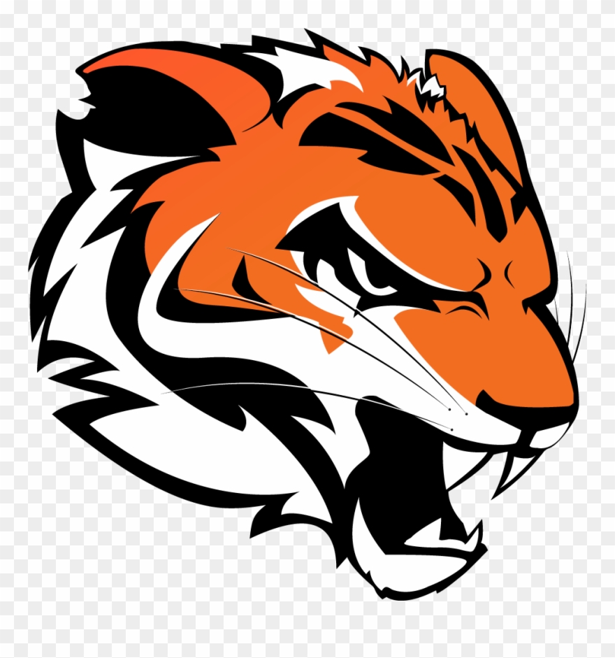 Ritesports Tiger Format=1500w Clipart