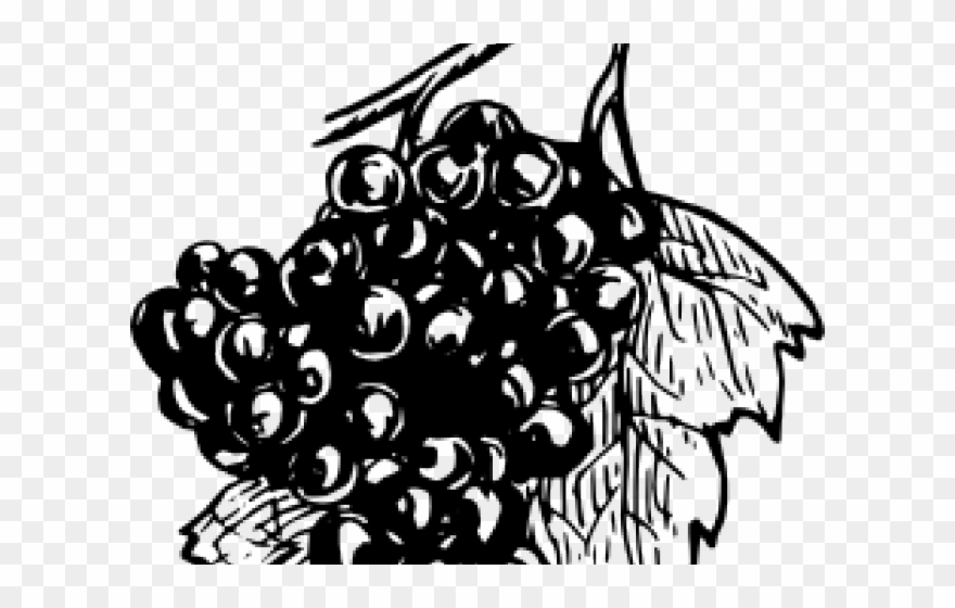 Grapes Clipart Climber - Grape Black Clipart - Png Download