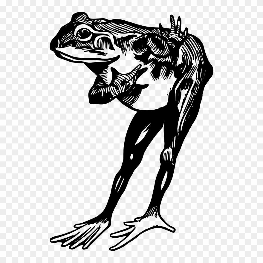 Medium Image - Edible Frog Clipart