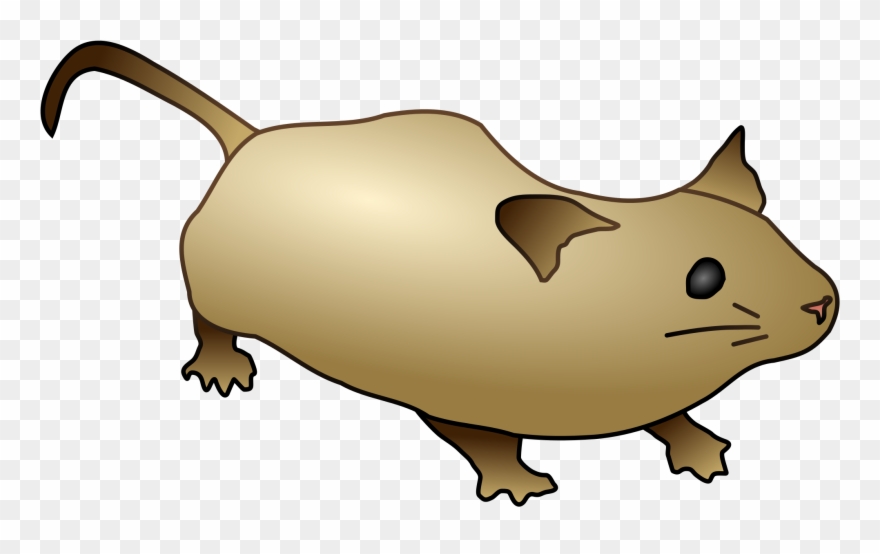 Open - Mouse Pooping Clipart