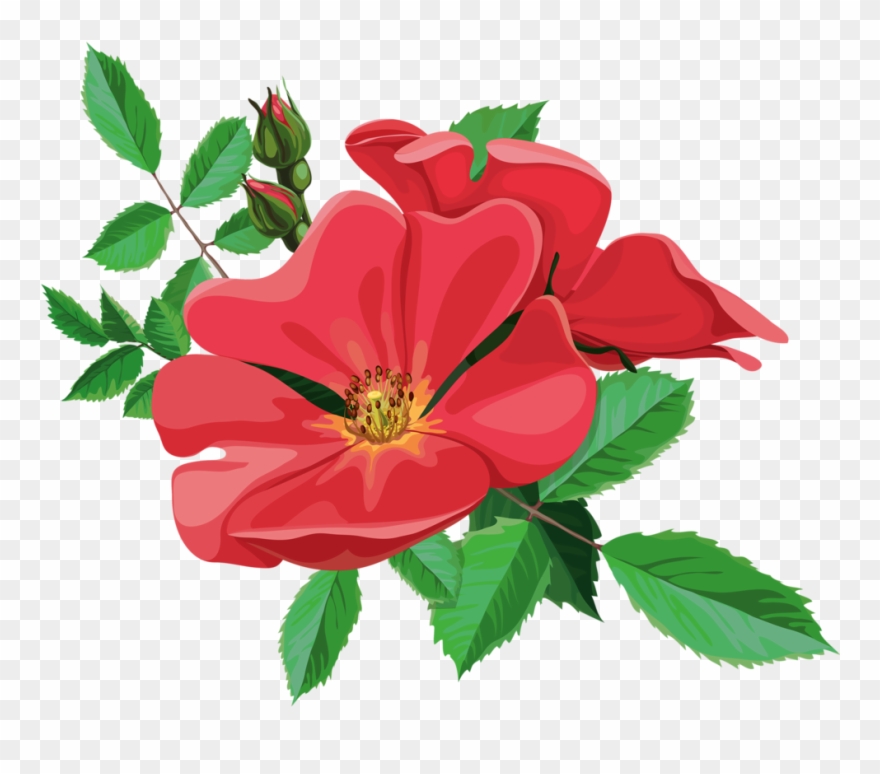 Jpg Library Library Png Flowers And - Animated Flowers Png Clipart