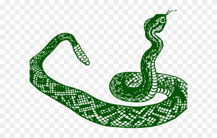 Popular Cliparts - Serpiente Blanco Y Negro - Png Download